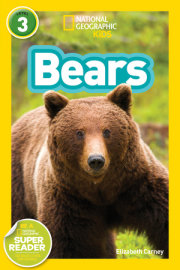 Bears (National Geographic Kids Readers, Level 3) 