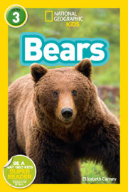Bears (National Geographic Kids Readers, Level 3) 