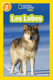 National Geographic Readers: Los Lobos (Wolves) 