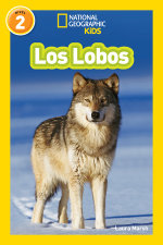 Los Lobos (Wolves) (National Geographic Kids Readers, Nivel 2)