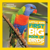 Cover of National Geographic Little Kids First Big Book of Birds cover