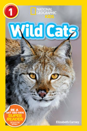 Wild Cats (National Geographic Kids Readers, Level 1) 