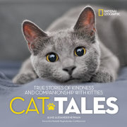 Cat Tales 