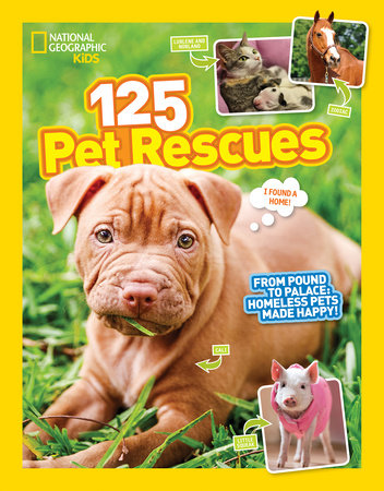 125 Pet Rescues by National Geographic Kids 9781426327360 PenguinRandomHouse Books