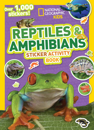 Reptiles and store amphibians for kids