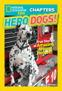 Book cover for National Geographic Kids Chapters: Hero Dogs
