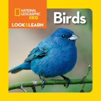 Book cover for National Geographic Kids Look & Learn: Birds