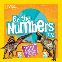 Book cover for By the Numbers 3.14