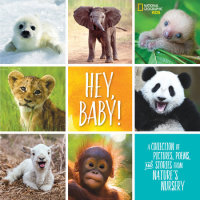 Book cover for Hey, Baby!