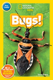 Bugs! (National Geographic Kids Readers, Pre-Reader) 