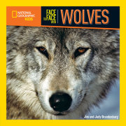 Face to Face with Wolves 