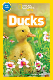 Ducks (National Geographic Kids Readers, Pre-Reader) 