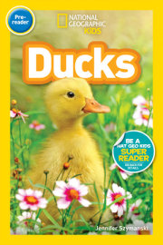 Ducks (National Geographic Kids Readers, Pre-Reader) 