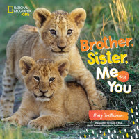 Book cover for Brother, Sister, Me and You