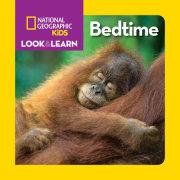 National Geographic Kids Look & Learn: Bedtime 