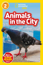 Animals in the City (National Geographic Kids Readers, Level 2) 