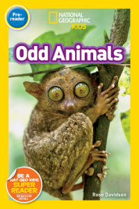 Book cover for Odd Animals (National Geographic Kids Readers, Pre-Reader)