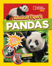 Absolute Expert: Pandas