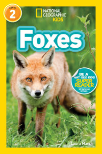 Cover of Foxes (National Geographic Kids Readers, Level 2) cover