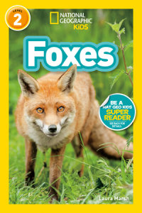 Cover of Foxes (National Geographic Kids Readers, Level 2) cover