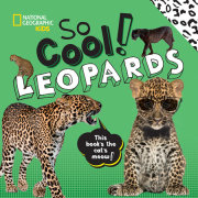 So Cool! Leopards 