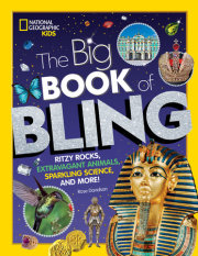 The Big Book of Bling 