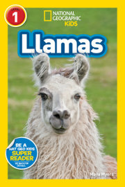 National Geographic Readers: Llamas (L1) 