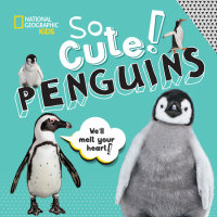 Book cover for So Cute! Penguins