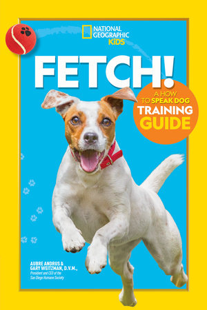 Teach Your Pet To Talk — Ruff Guides