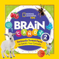 Book cover for Brain Candy 2
