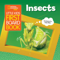 Book cover for National Geographic Kids Little Kids First Board Book: Insects