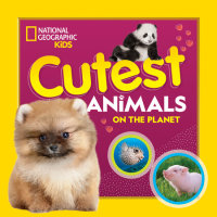 Book cover for Cutest Animals on the Planet
