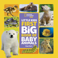 Book cover for National Geographic Little Kids First Big Book of Baby Animals