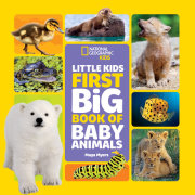 National Geographic Little Kids First Big Book of Baby Animals 