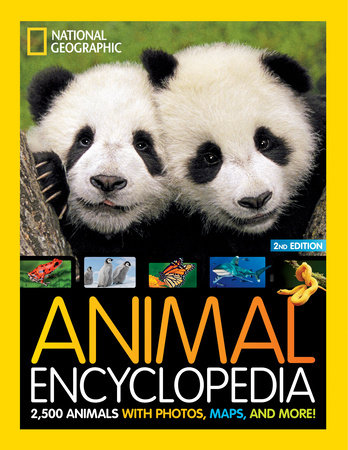 National Geographic Kids Beginner's United States Atlas 4th edition  (Hardcover)