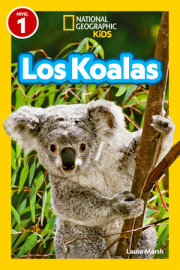 National Geographic Readers: Los Koalas (Nivel 1) 