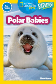 Polar Babies (National Geographic Kids Explore! Readers, Pre-Reader) 