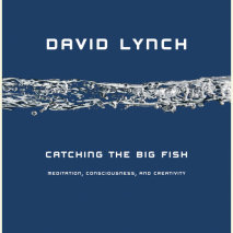 Catching the Big Fish Cover