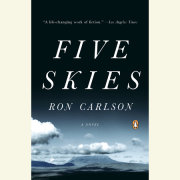 Five Skies