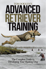 Tom Dokken's Advanced Retriever Training 