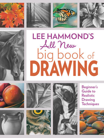 Lee Hammond's All New Big Book of Drawing by Lee Hammond: 9781440343094 |  : Books