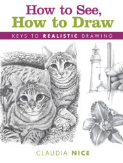 How to See, How to Draw 
