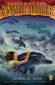 Dolphin Song 