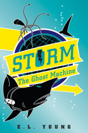 Storm: The Ghost Machine 