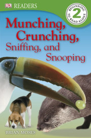 Munching, Crunching, Sniffing, and Snooping 