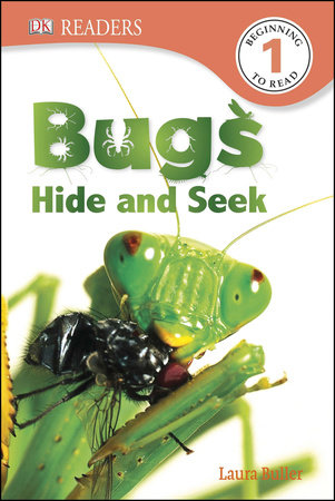 Bugs Hide and Seek