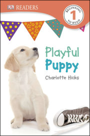 DK Readers L1: Playful Puppy 