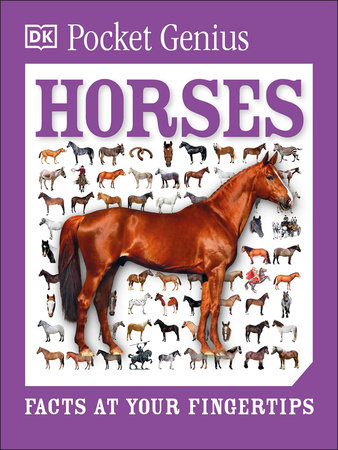 Barnes and Noble Horses Coloring Book For Kids: Horse and Pony