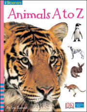 iOpener: Animals A to Z 