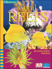 iOpener: Coral Reefs